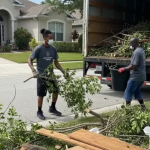 MPMP Services - Junk Removal Sub Image No. 007